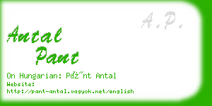 antal pant business card